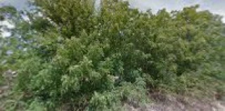 Logan County Auto Salvage