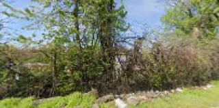 Liberty Recycling Inc.