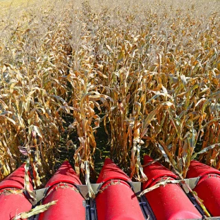 Parts ASAP | All States Ag Parts - Salem, SD