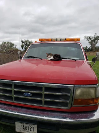 Mike's Auto Sales Inc