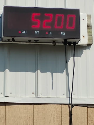 S & S Auto Parts & Salvage