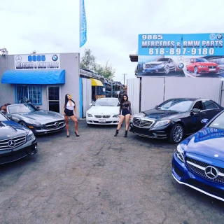 Mercedes and Bmw Auto Parts