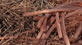 A-1 Recycling Co Inc