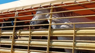 LKQ Brad's Auto and Truck Parts