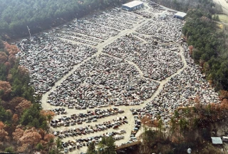 Burlington Used Auto Parts