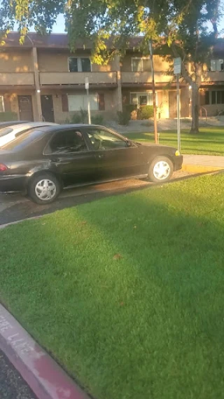 A Action Towing & Recovery