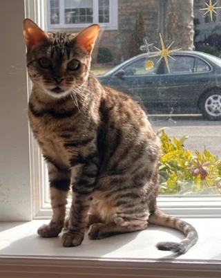 Humane Society of Westchester