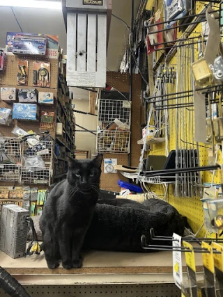 Geovanys Auto Accessories & Repairs Ltd