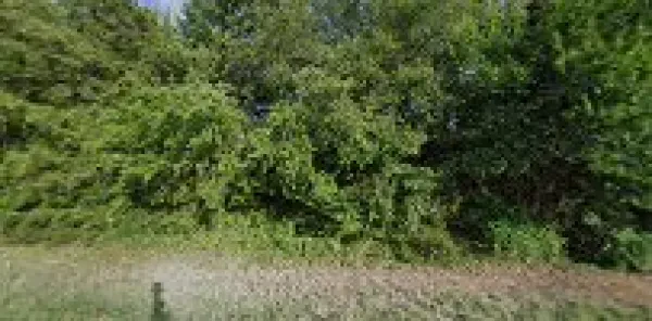 Mc Clain County Salvage - photo 4