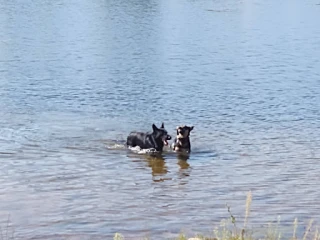 Don's Towing & Heavy Haul Inc.