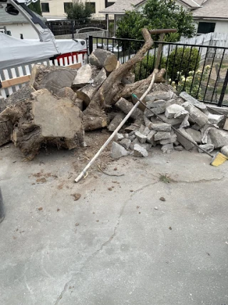 Junk Buddie's 5 Junk Removal