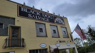 Black Dog Salvage