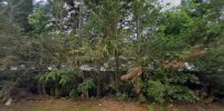 Little Man's Auto Parts