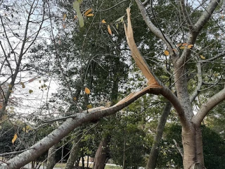 Select Recycling Waste Services (Hampton Roads)