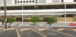 Professional Auto Transporters