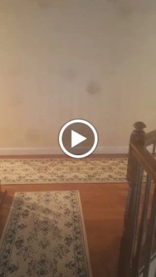 Fast junk pickup and demolition