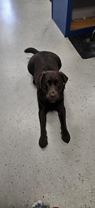 NAPA Auto Parts - Farmington Auto Supply