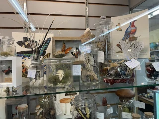 Fifth Street Antiques