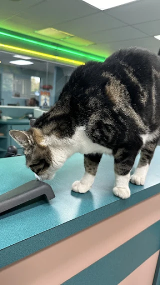 Jim's Import Auto Salvage