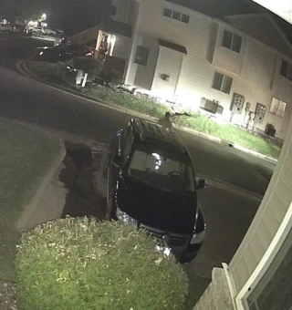 PLM Towing and Transport