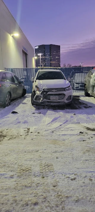 Lupient Collision of Bloomington