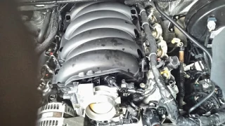 Palmetto Auto Service