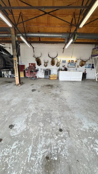 Japanese Automotive/Monroe