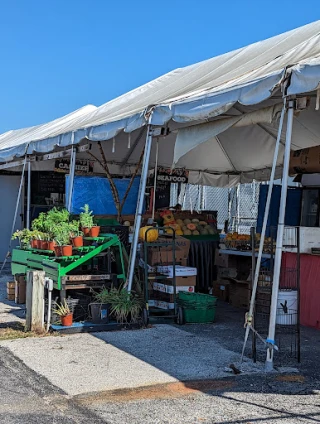 Flamingo Island Flea Market