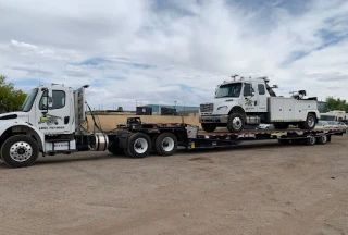 Professional Towing and Recovery LLC