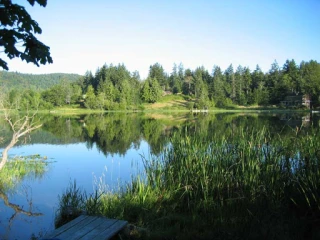 Outboard Repair & Salvage