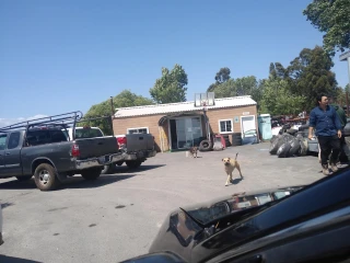 Eco Auto Dismantling