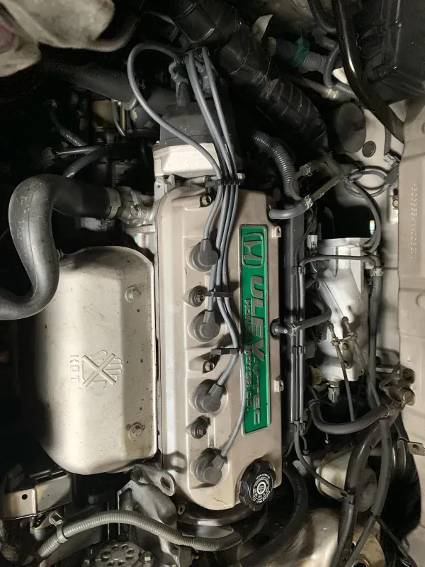 Import Auto Supply & Salvage - photo 3