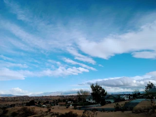 Pick Your Part - Victorville