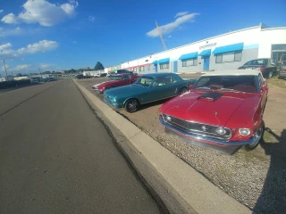 Mustang Paradise