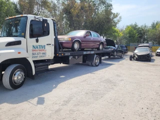 Pick Your Part - West Palm