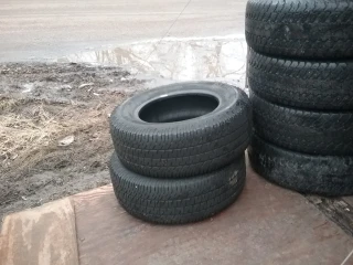 Carter's Auto Salvage - Big Reds