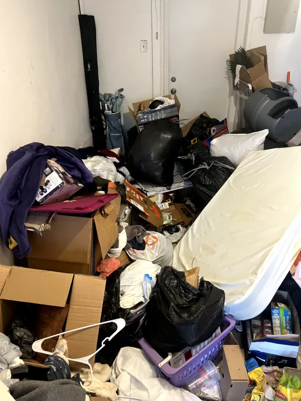 junk removal 911 - photo 3