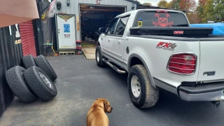 Bessler's U Pull & Save