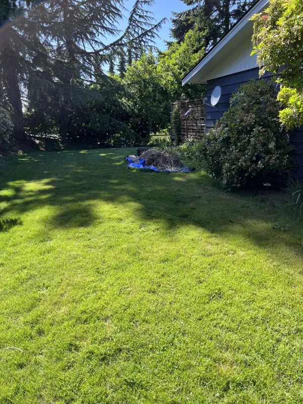 Whatcom Rubbish Removal - photo 4