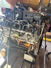 American Auto Wrecking llc (By appointment Only)