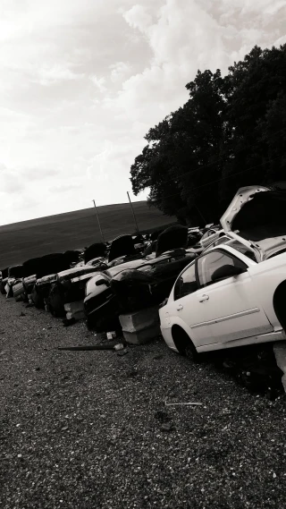 Eichelberger's U Pull It