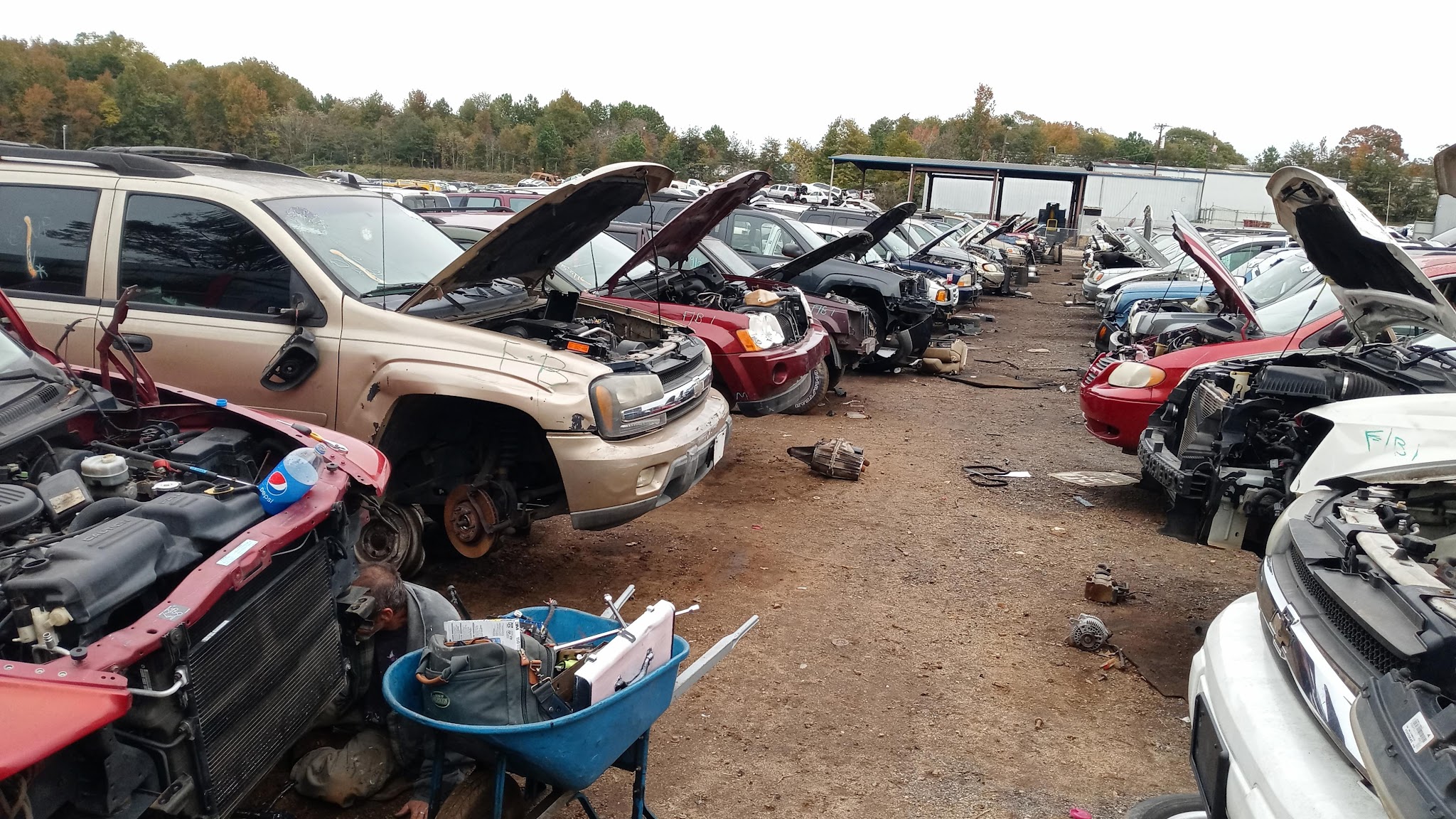 Junk Yards In Greenville