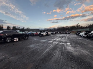 Vince's U-Pull It Auto Parts