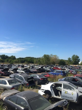 Cartel Double Discount