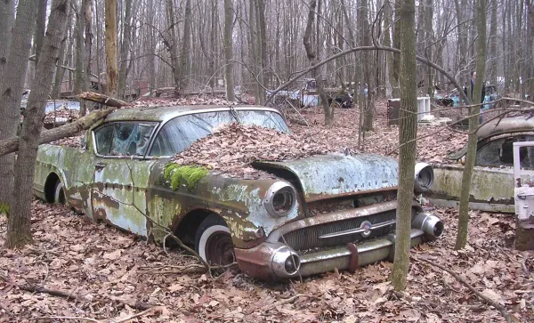 Davids recycling Junkyard FL - photo 2