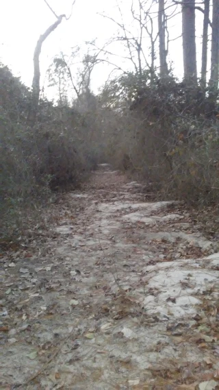 Teel's Auto Parts & Used Cars