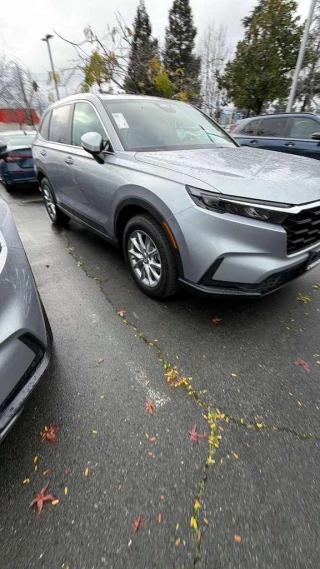 Towing Riders Dallas