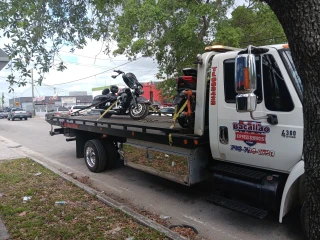 Bacallao Express services corp