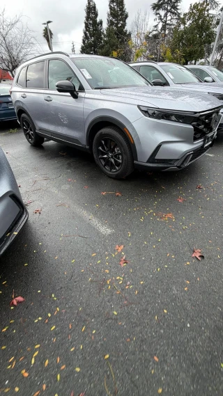 Toro Road Runners LLC