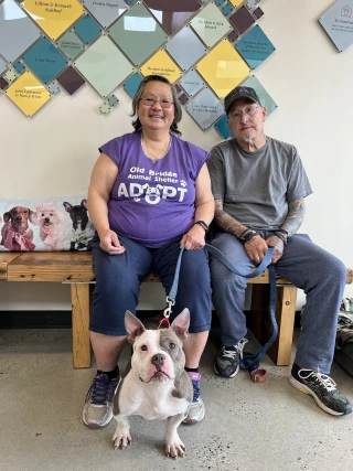 Humane Society of Westchester